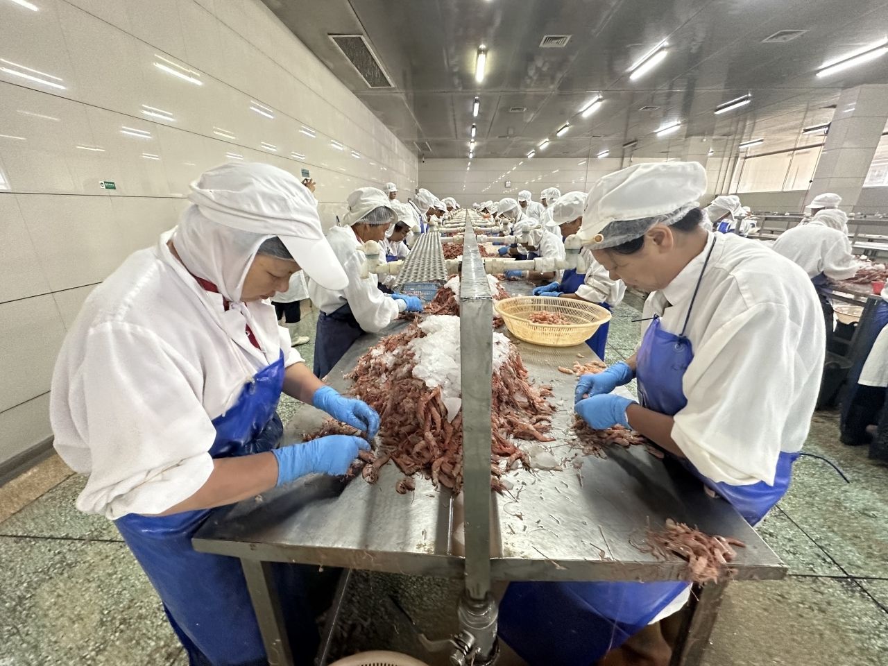 提升食材