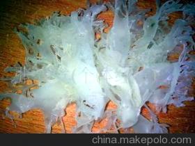 海银耳 打造高品质水产品供应链——张春发个体经营的专业选择