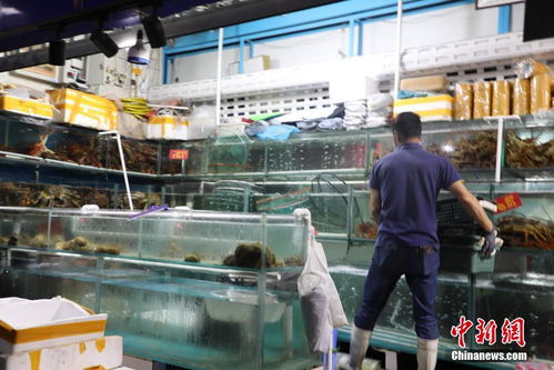 大连市内大型水产品市场 缩短营业时间、严格防疫消毒，力保安全供应与民生需求