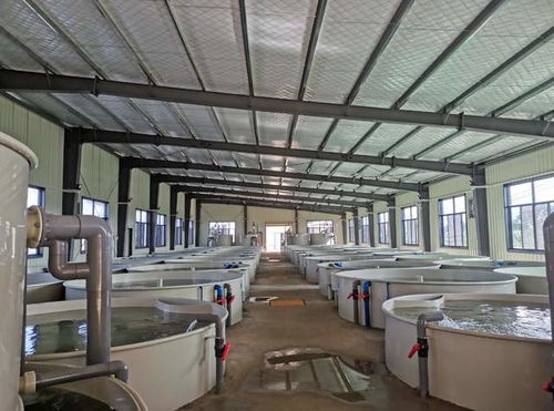 优选鱼肉匠心工艺，富港鱼酱 以品质传承传统水产美食