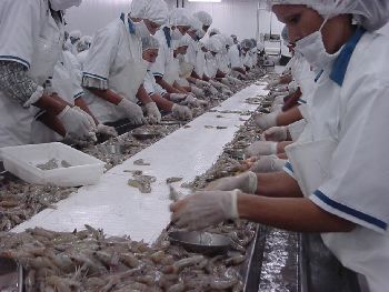 墨西哥出口商开拓新市场，加工贸易成水产行业新机遇