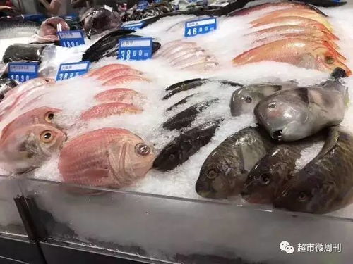 超赞实用！打造吸睛又保鲜的海鲜水产品陈列全攻略